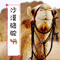 沙漠駱駝(熱度:1882765)由大貓啵啵啵翻唱，原唱歌手展展與羅羅