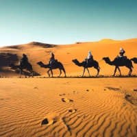 沙漠骆驼(热度:520)由✿翻唱，原唱歌手展展与罗罗