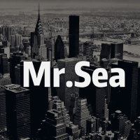演唱歌手Mr.Sea的头像