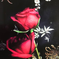 玫瑰玫瑰我爱你(热度:184)由ERKANG翻唱，原唱歌手依桐
