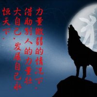 北方的狼原唱是齐秦，由华哥翻唱(播放:41)