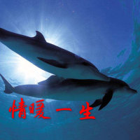 情暖一生(热度:384)由࿓海豚༅翻唱，原唱歌手安东阳/东方红艳