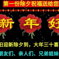 新年好(热度:50)由恋雨 荷翻唱，原唱歌手王雪晶