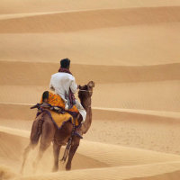 沙漠骆驼由YAORAO（偶尔在线）演唱(原唱:展展与罗罗)