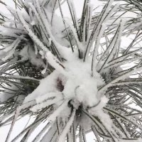 2002年的第一场雪(热度:39)由阳光总在风雨后翻唱，原唱歌手刀郎