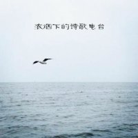 理想三旬(热度:488)由夏ˇˇ翻唱，原唱歌手刘安琪