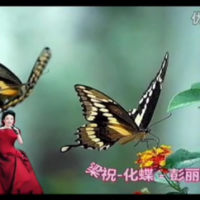 【粤剧】彩蝶双飞(热度:98)由徐國昌翻唱，原唱歌手刘珺儿