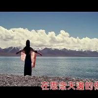 思念天边的你(热度:110)由徐國昌翻唱，原唱歌手红蔷薇