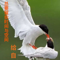 知音梦里寻(热度:102)由徐國昌翻唱，原唱歌手许冠杰