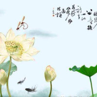 两只蝴蝶(热度:151)由云翻唱，原唱歌手庞龙