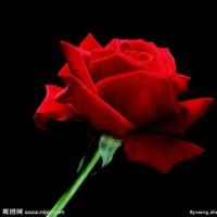 心中的玫瑰(热度:50)由快快乐乐翻唱，原唱歌手李谷一