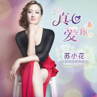 新版红尘情歌(热度:96)由华派幸福一生金牌唱将翻唱，原唱歌手芦丽红
