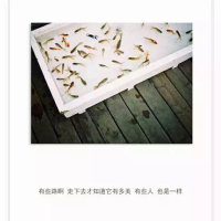 小酒窝(热度:301)由一萌❀翻唱，原创歌手林俊杰/蔡卓妍