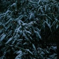 2018年的第一场雪(热度:21)由好运连连铿锵玫瑰翻唱，原唱歌手戚阳阳