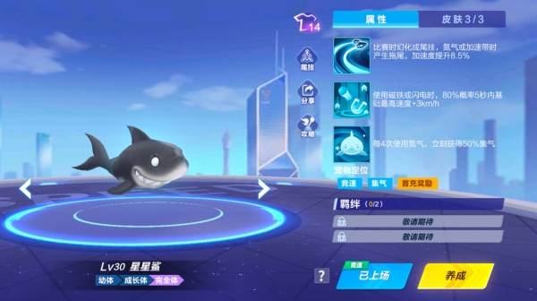 【萌宠攻略】海上灰鲨 活力一夏 星星鲨强势来袭
