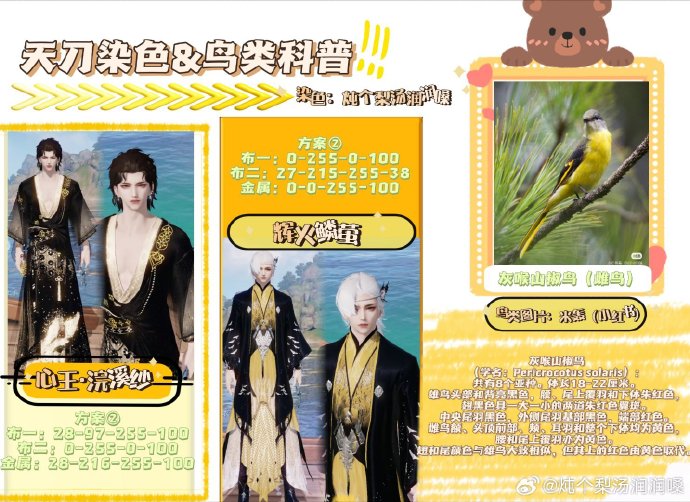 欣赏自然之美，鸟类科普拟人染色特刊数据分享