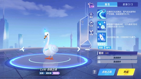 【萌宠攻略】身披白羽 翩若惊鸿 白羽之诗唯美来袭