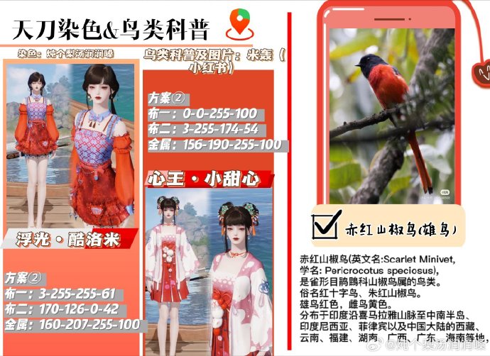 欣赏自然之美，鸟类科普拟人染色特刊数据分享