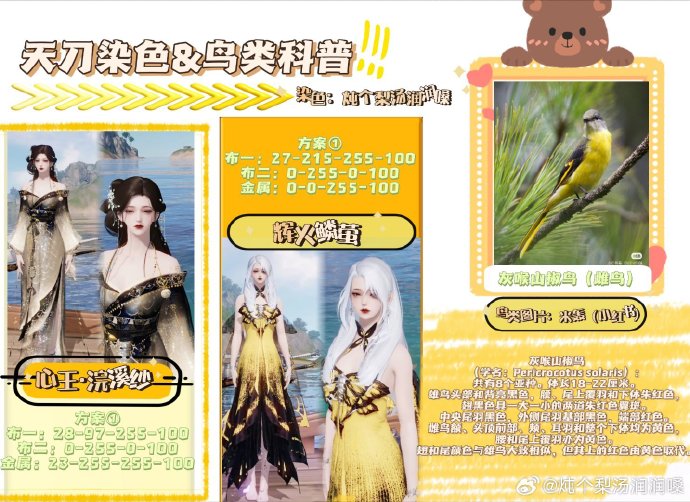 欣赏自然之美，鸟类科普拟人染色特刊数据分享