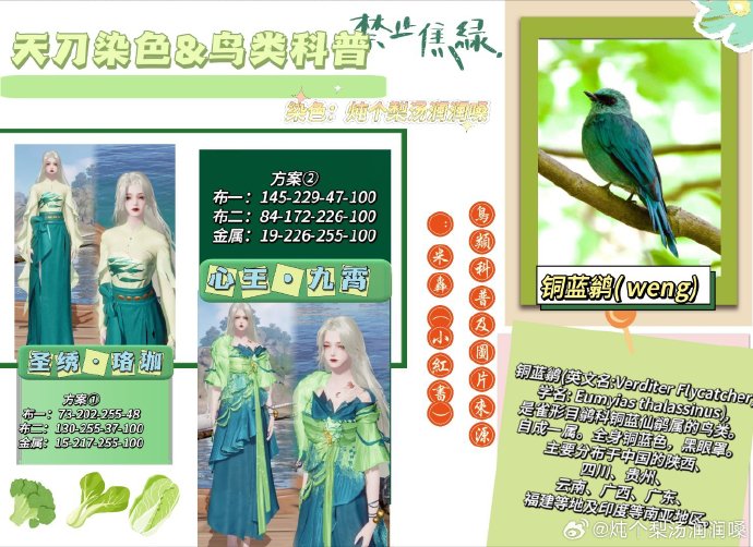 欣赏自然之美，鸟类科普拟人染色特刊数据分享