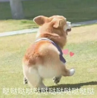 领主圆桌会丨如何利用地缘优势选择出生地？