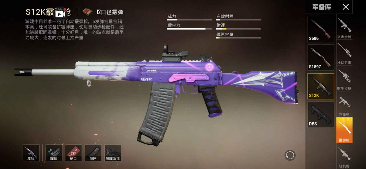 dbs与s12k的最强霰弹枪之争,究竟谁才是最强"喷子"