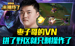 主播炸了超神篇：枣子哥的VN进了野区就只剩操作了