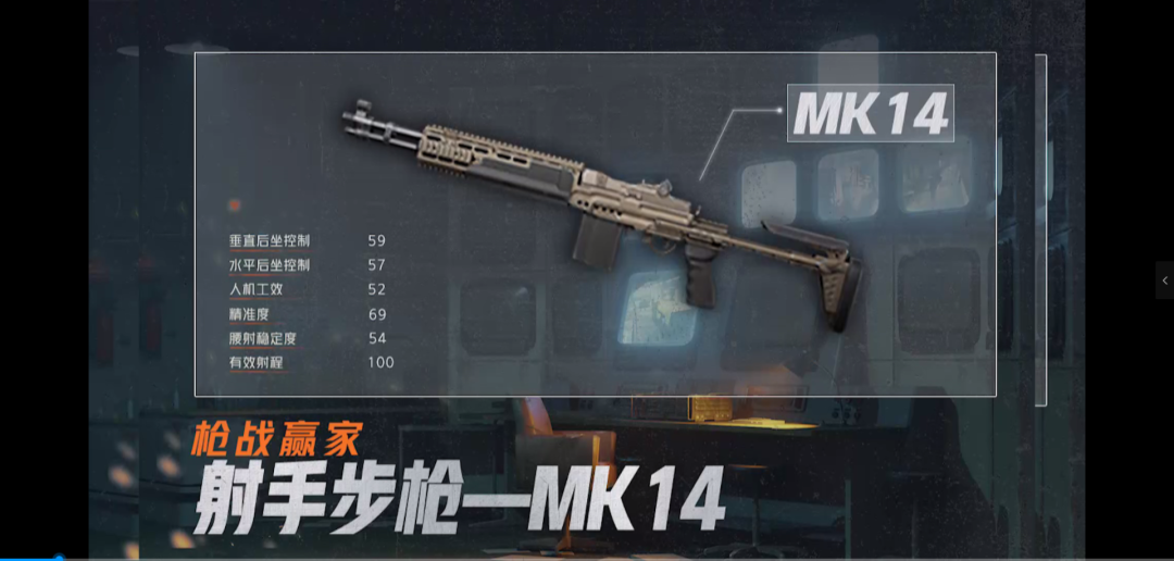 老皮装备库丨重，但是很好用的射手步枪MK14
