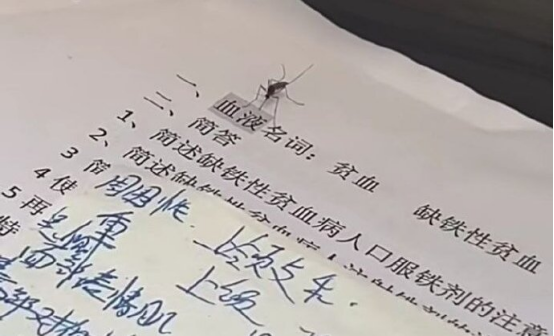 3-7号”超级背包“返场免费兑换中，龙珠专场再新增17件可分解道具