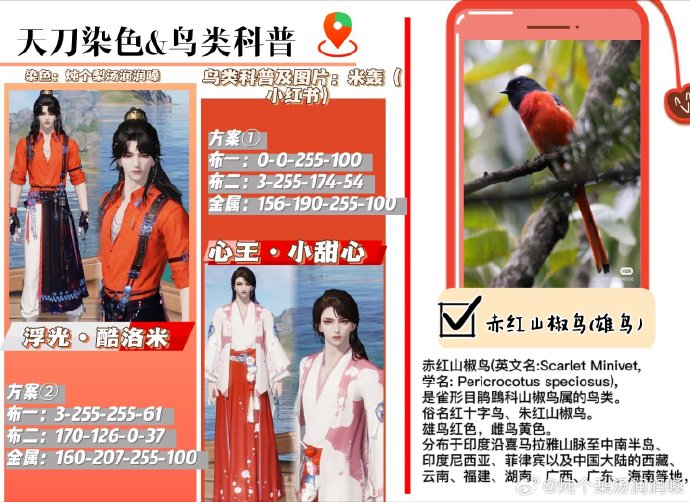 欣赏自然之美，鸟类科普拟人染色特刊数据分享