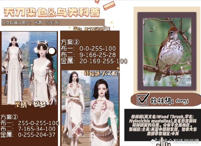 欣赏自然之美，鸟类科普拟人染色特刊数据分享