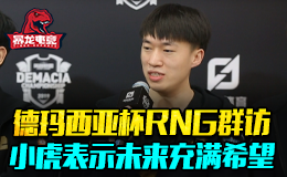 德玛西亚杯RNG赛后群访 小虎表示未来充满希望