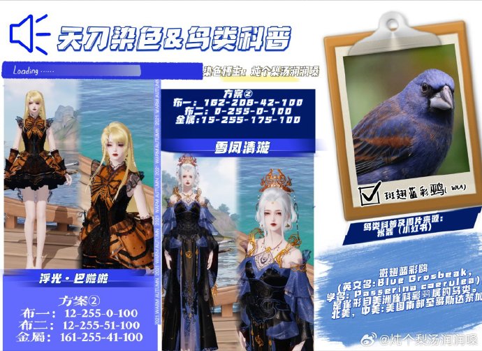 欣赏自然之美，鸟类科普拟人染色特刊数据分享