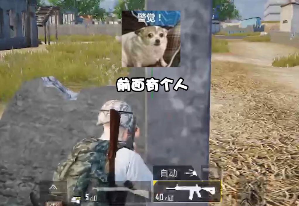 ȰѶˣҿǸС