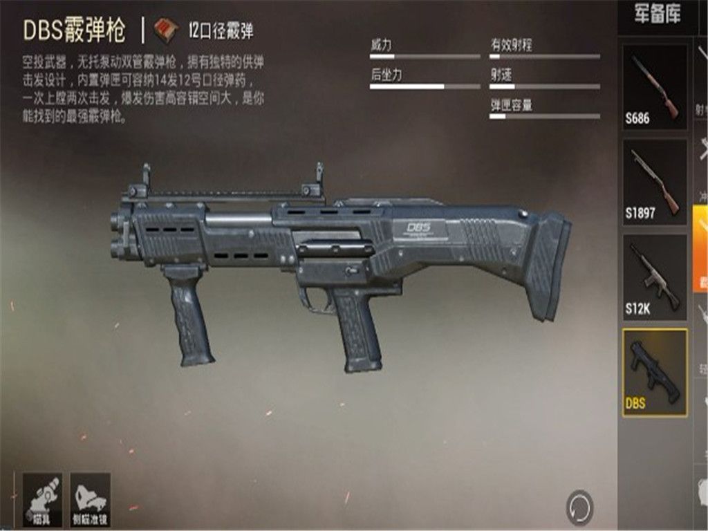 ԡǹеDBSǹΪͶʱ
