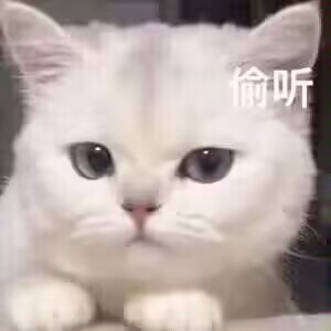 【活动详解】：版本倒计时开启，丰厚大奖别错过！