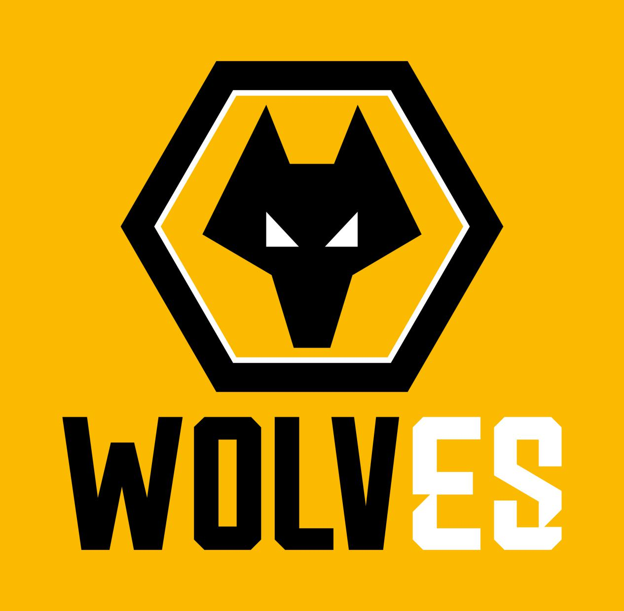 《使命召唤手游大师赛》战队巡礼第六期:wolves狼啸将至