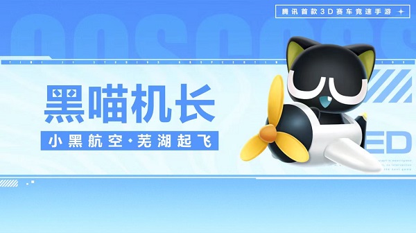 【萌宠攻略】小黑航空 芜湖起飞 黑喵机长激情来袭