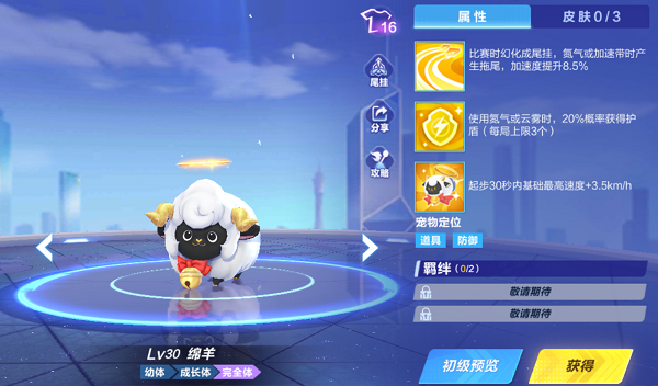 【萌宠攻略】温顺可爱 讨人喜爱 绵羊登场