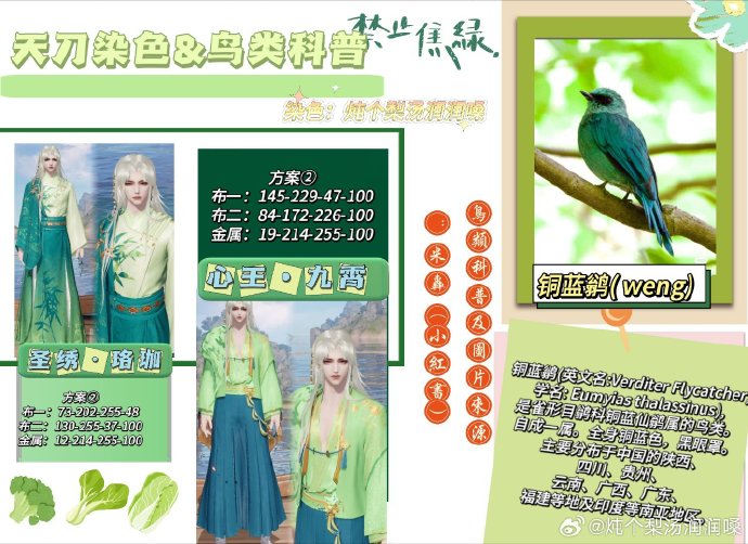 欣赏自然之美，鸟类科普拟人染色特刊数据分享