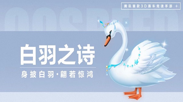 【萌宠攻略】身披白羽 翩若惊鸿 白羽之诗唯美来袭