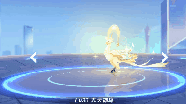 【萌宠攻略】神鸟降临 福泽绵延 九天神鸟来袭