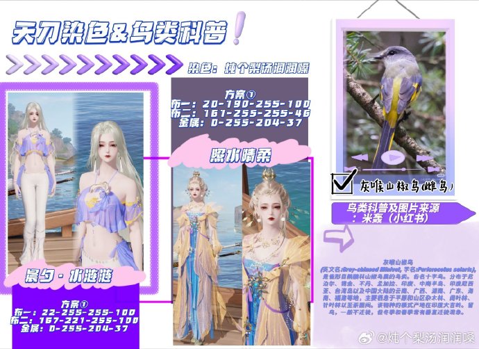欣赏自然之美，鸟类科普拟人染色特刊数据分享
