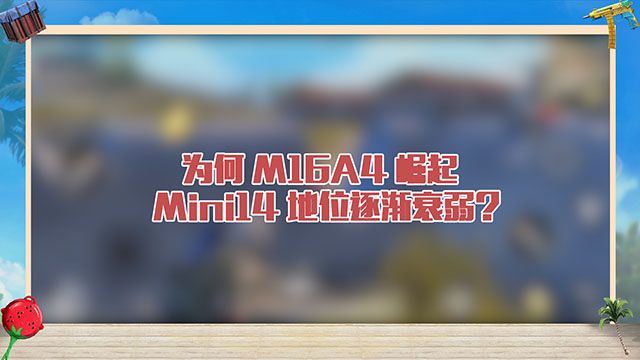ΪM16A4Mini14λ˥