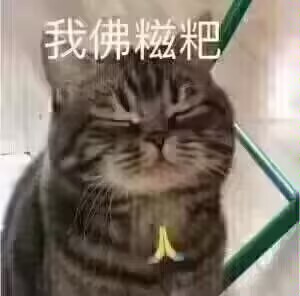 【8周年庆版本】赏金令重磅返场，经典万化依旧靓！