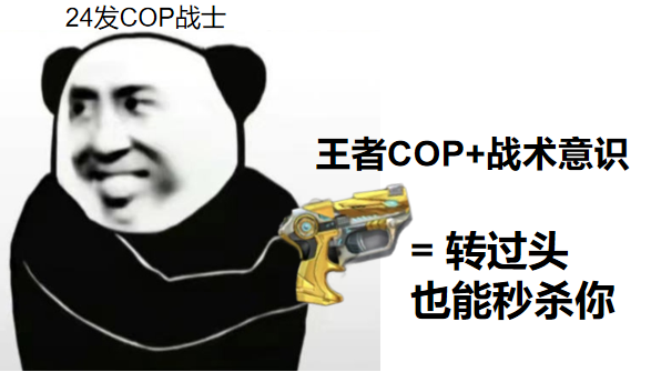 《武器赏析馆》雷霆聚变一发万钧，COP 357-雷霆王者竞技测评！