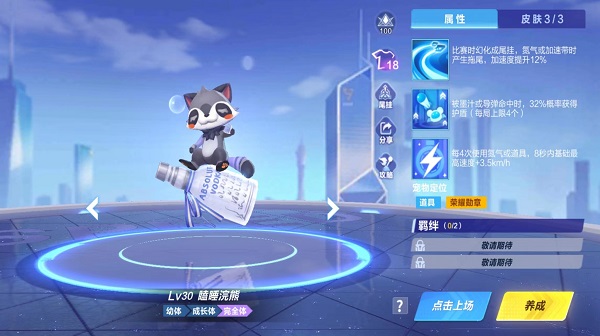 【萌宠攻略】软萌可爱 憨气十足 瞌睡浣熊来袭