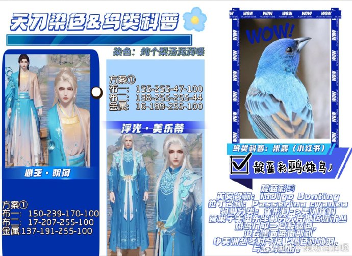 欣赏自然之美，鸟类科普拟人染色特刊数据分享