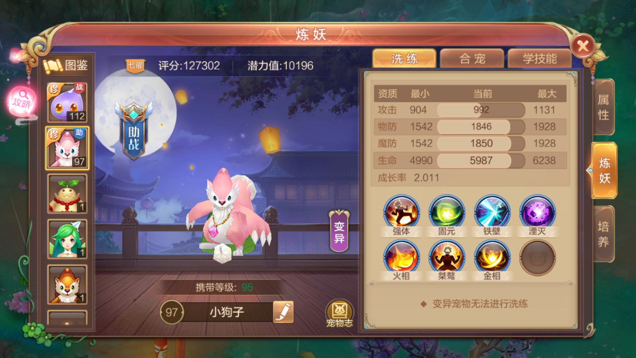 【FFOM研究院】带什么宝宝好？暴力输出流气功师谈宠物搭配