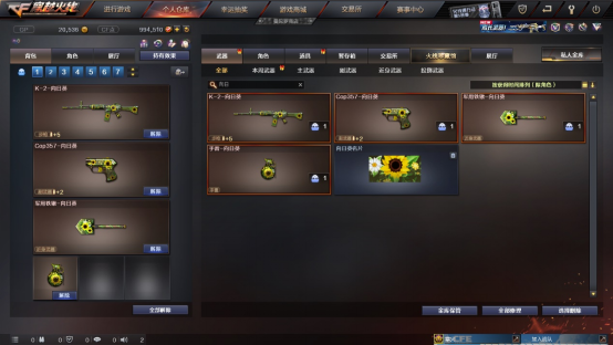 全新外服引进道具，“向日葵”系列武器游戏介绍！